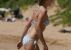 Kristen Bell bikinis képei